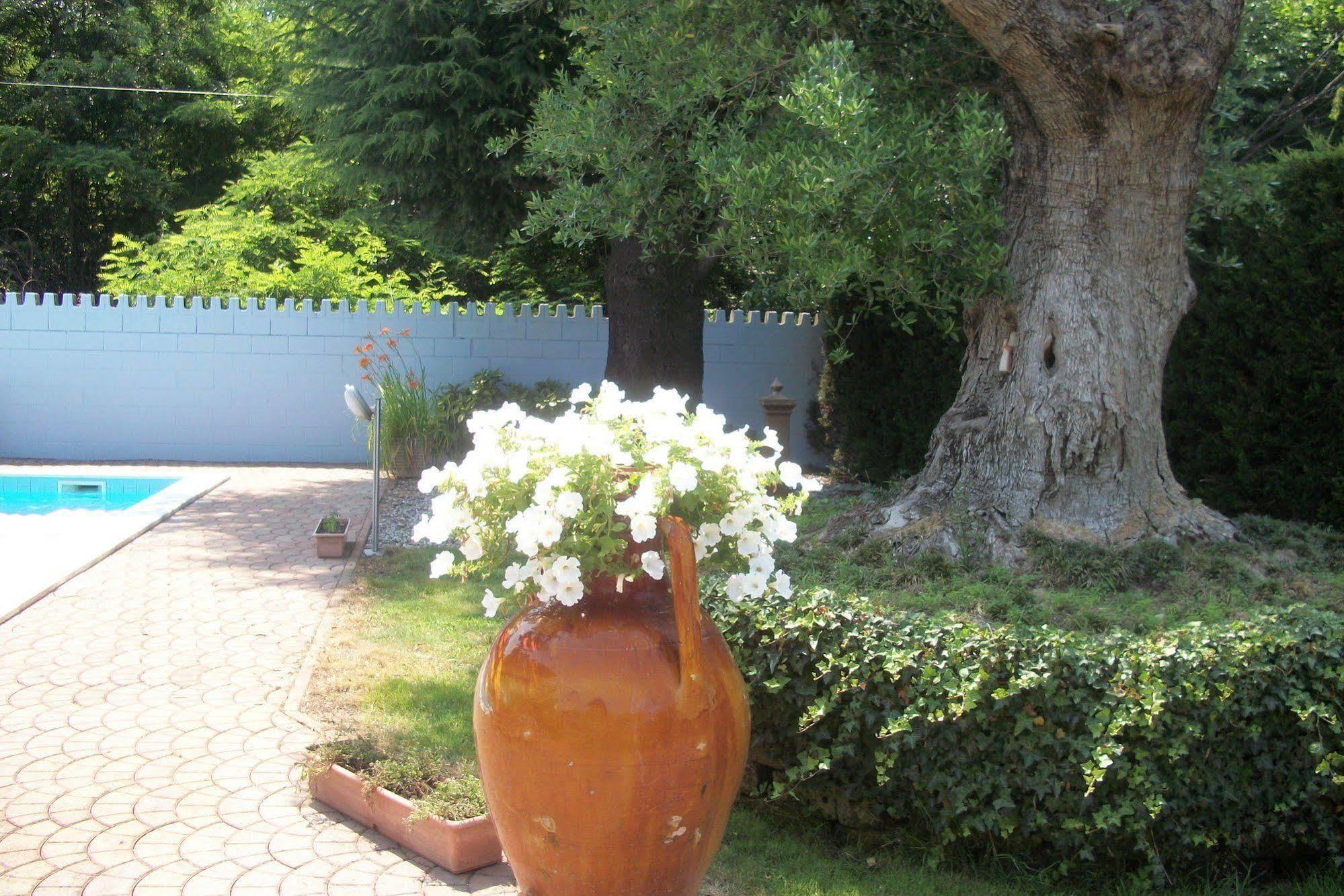 B&B Southitaly บุสโตอาร์ซีซีโอ ภายนอก รูปภาพ