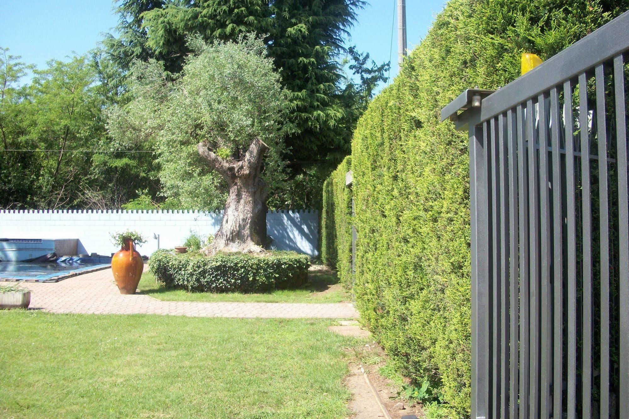 B&B Southitaly บุสโตอาร์ซีซีโอ ภายนอก รูปภาพ